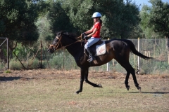 Παιδικές Κατασκηνώσεις Καλαμάτας